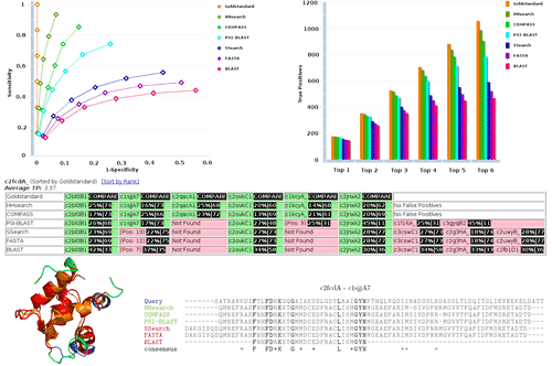 COPSBenchmark Image