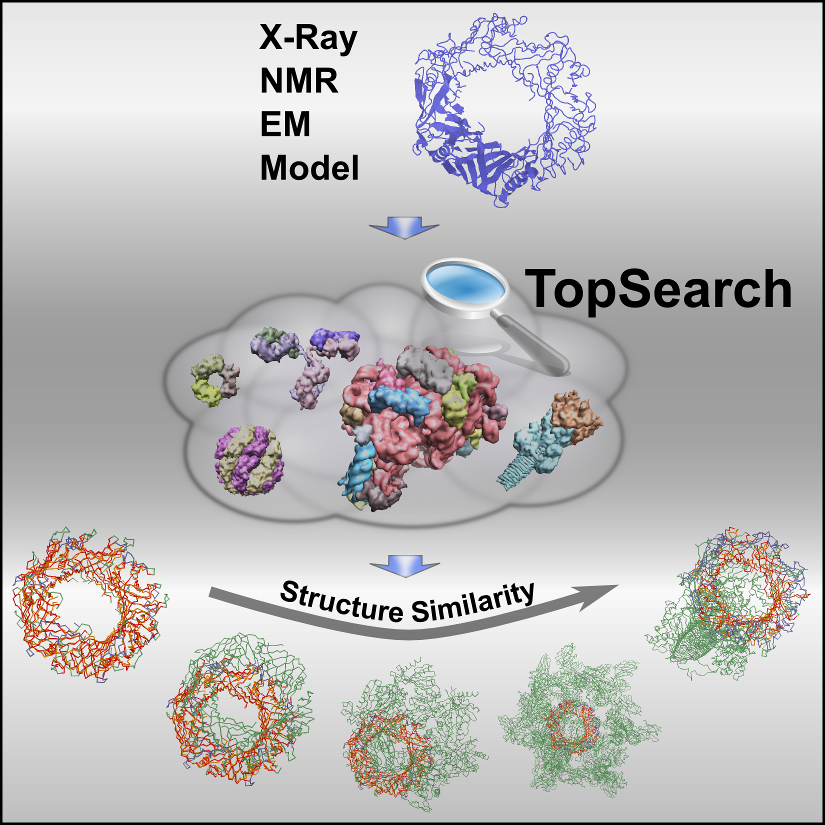 TopSearch Graphical Abstract